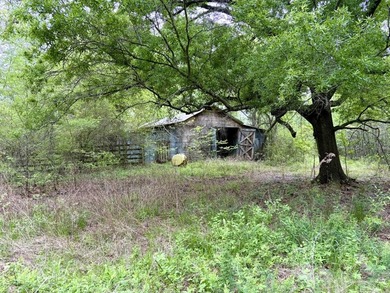 Land for sale near Centerville, Arkansas offering privacy - photo 11