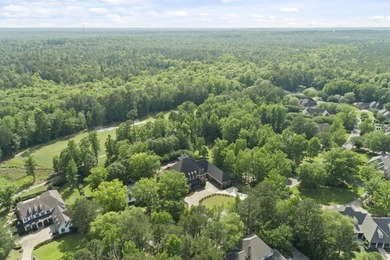 135 Wild Meadows - photo 12
