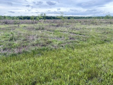 Land for sale near Centerville, Arkansas offering privacy - photo 17
