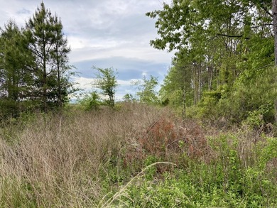 Land for sale near Centerville, Arkansas offering privacy - photo 18
