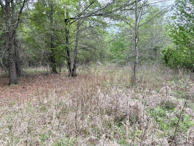 Land for sale near Centerville, Arkansas offering privacy - photo 19