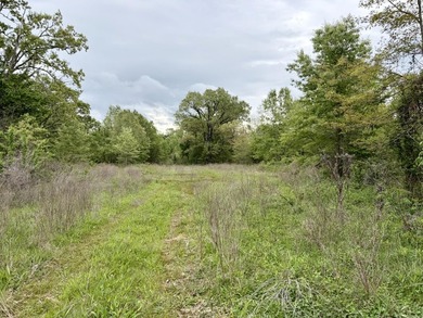 Land for sale near Centerville, Arkansas offering privacy - photo 20