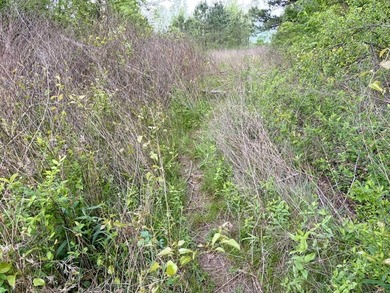 Land for sale near Centerville, Arkansas offering privacy - photo 21