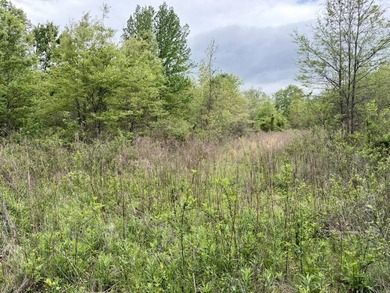 Land for sale near Centerville, Arkansas offering privacy - photo 22
