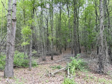 Land for sale near Centerville, Arkansas offering privacy - photo 23