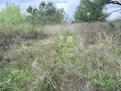 Land for sale near Centerville, Arkansas offering privacy - photo 24