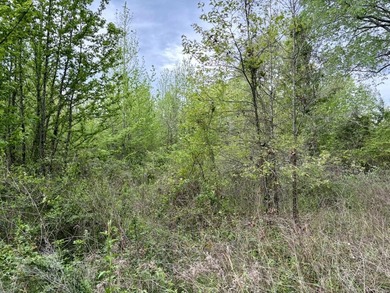 Land for sale near Centerville, Arkansas offering privacy - photo 25
