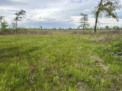 Land for sale near Centerville, Arkansas offering privacy - photo 28