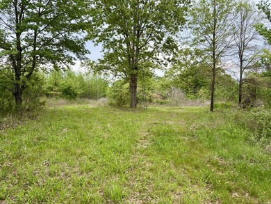 Land for sale near Centerville, Arkansas offering privacy - photo 30