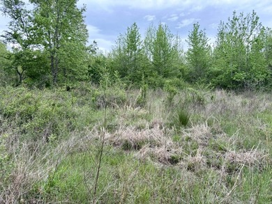 Land for sale near Centerville, Arkansas offering privacy - photo 32