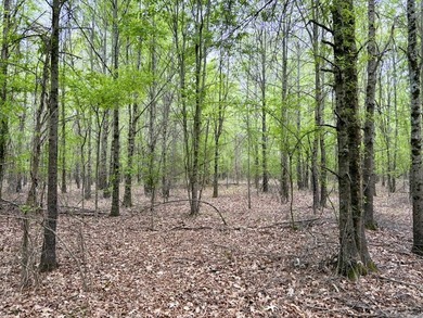 Land for sale near Centerville, Arkansas offering privacy - photo 34