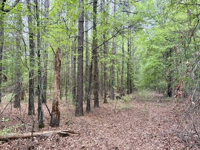 Land for sale near Centerville, Arkansas offering privacy - photo 36