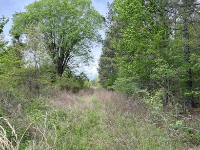 Land for sale near Centerville, Arkansas offering privacy - photo 38