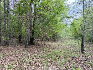 Land for sale near Centerville, Arkansas offering privacy - photo 42