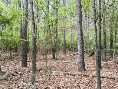 Land for sale near Centerville, Arkansas offering privacy - photo 44