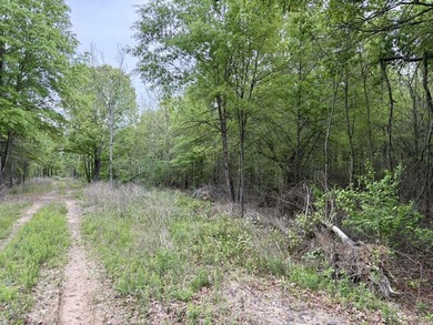 Land for sale near Centerville, Arkansas offering privacy - photo 45