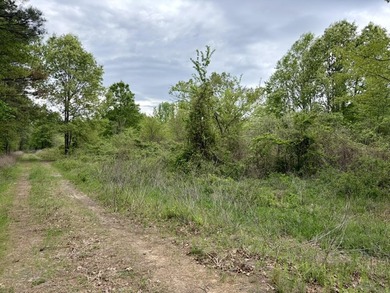 Land for sale near Centerville, Arkansas offering privacy - photo 46