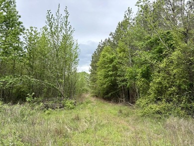Land for sale near Centerville, Arkansas offering privacy - photo 47