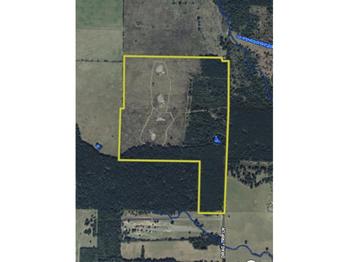 Land for sale near Centerville, Arkansas offering privacy - photo 48