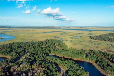 Lake Lot For Sale in Waverly, Georgia