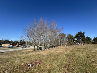 Beautiful partially cleared 1.5 acre lot close to the center of - photo 3