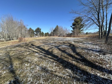 Beautiful partially cleared 1.5 acre lot close to the center of - photo 4