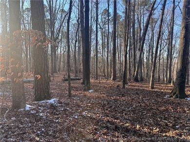 (private lake, pond, coastal) Lot Sale Pending in Sanford North Carolina