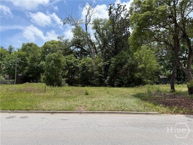Rare opportunity to own a vacant residentially zoned lot in - photo 3