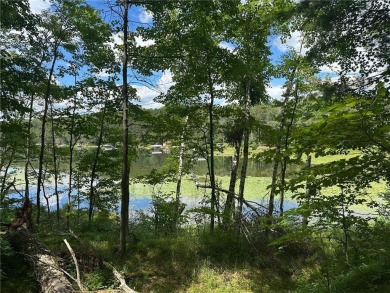 Lake Lot Sale Pending in Motley, Minnesota