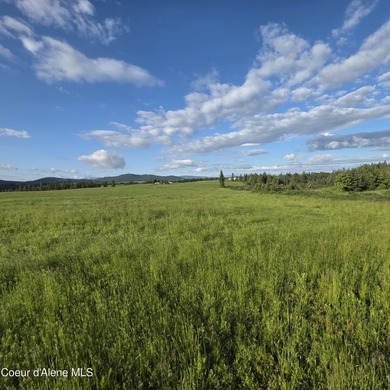 Escape to this stunning 34-acre parcel on Harrison Flats - photo 22