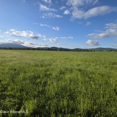 Escape to this stunning 34-acre parcel on Harrison Flats - photo 31