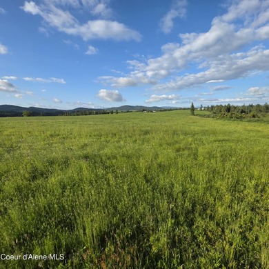 Escape to this stunning 34-acre parcel on Harrison Flats - photo 33
