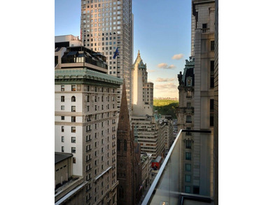 Welcome to Mandarin Oriental Residences, Fifth Avenue. Gilded - photo 9