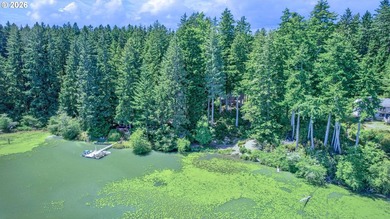 Stunning Siltcoos lakefront home on 1.38 acres, built in 2024 - photo 39