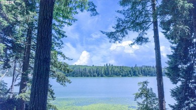 Stunning Siltcoos lakefront home on 1.38 acres, built in 2024 - photo 40
