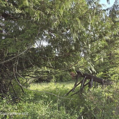 Escape to this stunning 34-acre parcel on Harrison Flats - photo 44