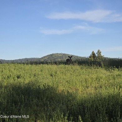 Escape to this stunning 34-acre parcel on Harrison Flats - photo 49