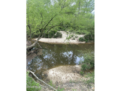 Hunting and Recreational retreat - 398+/- Acres in Amite County - photo 12