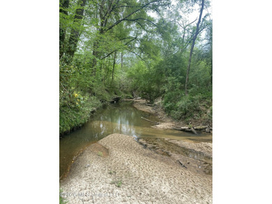 Hunting and Recreational retreat - 398+/- Acres in Amite County - photo 13