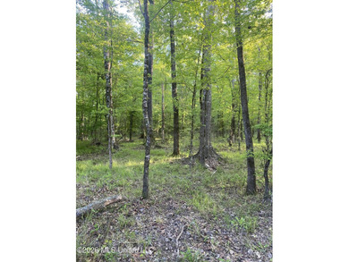 Hunting and Recreational retreat - 398+/- Acres in Amite County - photo 16
