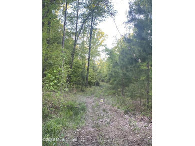 Hunting and Recreational retreat - 398+/- Acres in Amite County - photo 18