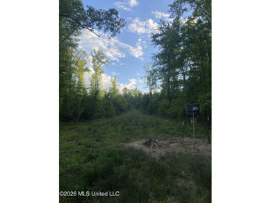 Hunting and Recreational retreat - 398+/- Acres in Amite County - photo 19