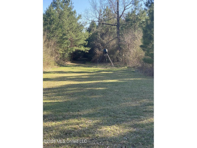 Hunting and Recreational retreat - 398+/- Acres in Amite County - photo 21