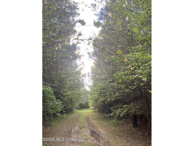 Hunting and Recreational retreat - 398+/- Acres in Amite County - photo 24