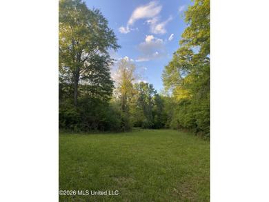 Hunting and Recreational retreat - 398+/- Acres in Amite County - photo 26