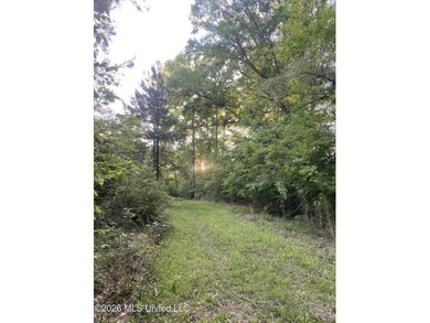 Hunting and Recreational retreat - 398+/- Acres in Amite County - photo 28