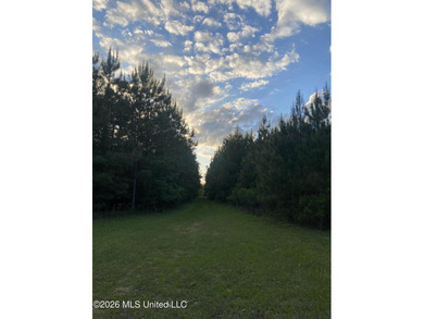 Hunting and Recreational retreat - 398+/- Acres in Amite County - photo 29