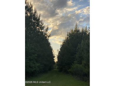 Hunting and Recreational retreat - 398+/- Acres in Amite County - photo 30