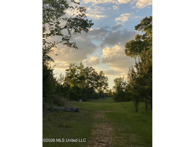 Hunting and Recreational retreat - 398+/- Acres in Amite County - photo 32