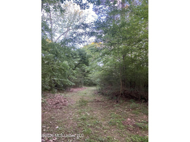 Hunting and Recreational retreat - 398+/- Acres in Amite County - photo 34